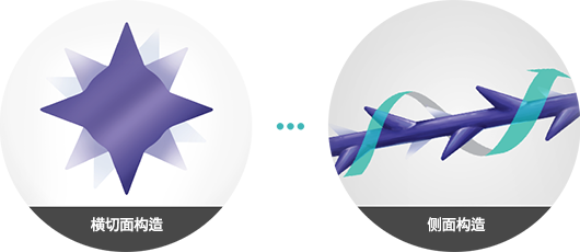 단면구조, 측면구조