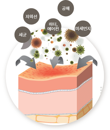 자외선, 공해, 세균, 히터,에어컨, 미세먼지